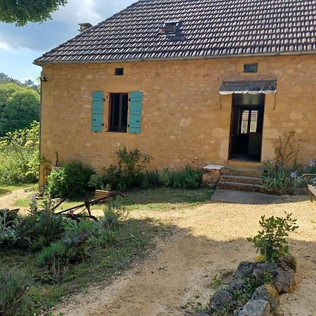 Gites Le Clos De Veyrignac Экстерьер фото